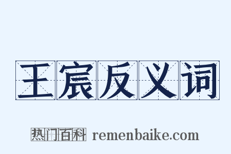 王宸反义词是什么意思的图片